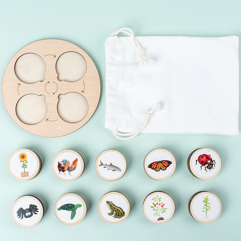 Yaşam Döngüsü Kurulu Montessor - Montessori Shelf Toy incelemesi ve fiyatı
