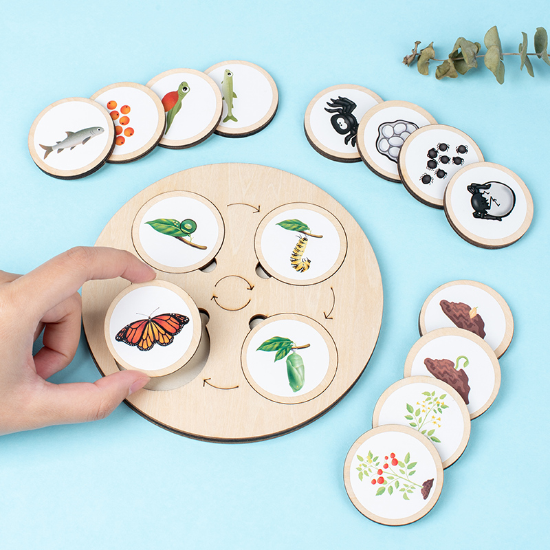Yaşam Döngüsü Kurulu Montessor - Montessori Shelf Toy incelemesi ve fiyatı